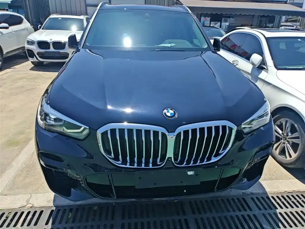 BMW X5 (Import) 2022 из CN, фото 3