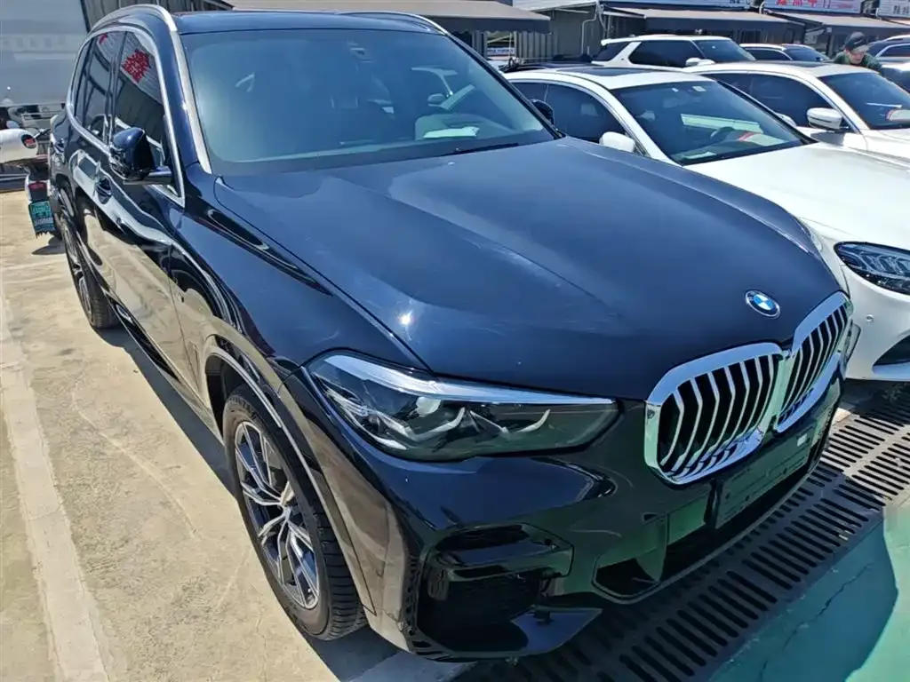 BMW X5 (Import) 2022 из CN, фото 9