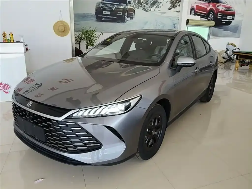 BYD Qin PLUS — фото 10