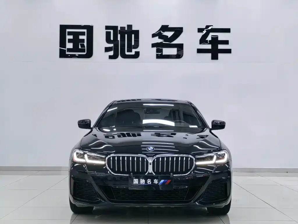 BMW 5 Series 2022 из CN, фото 5