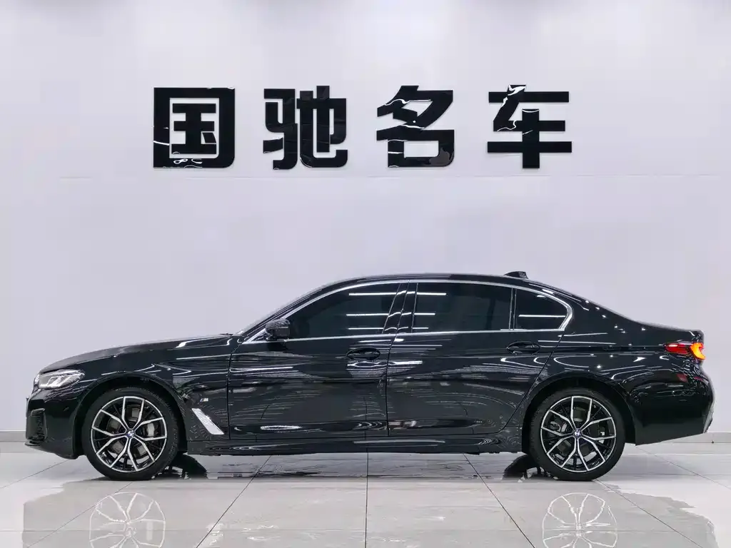 BMW 5 Series 2022 из CN, фото 4