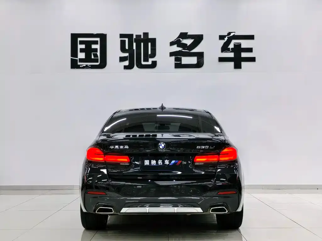 BMW 5 Series 2022 из CN, фото 6