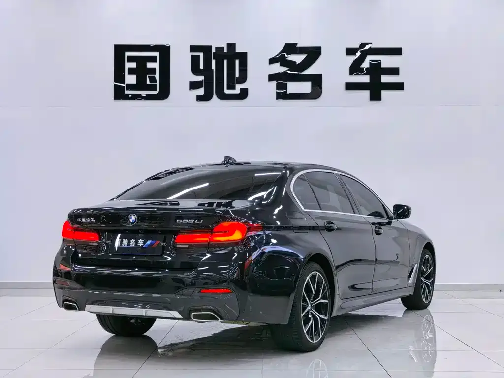 BMW 5 Series 2022 из CN, фото 3