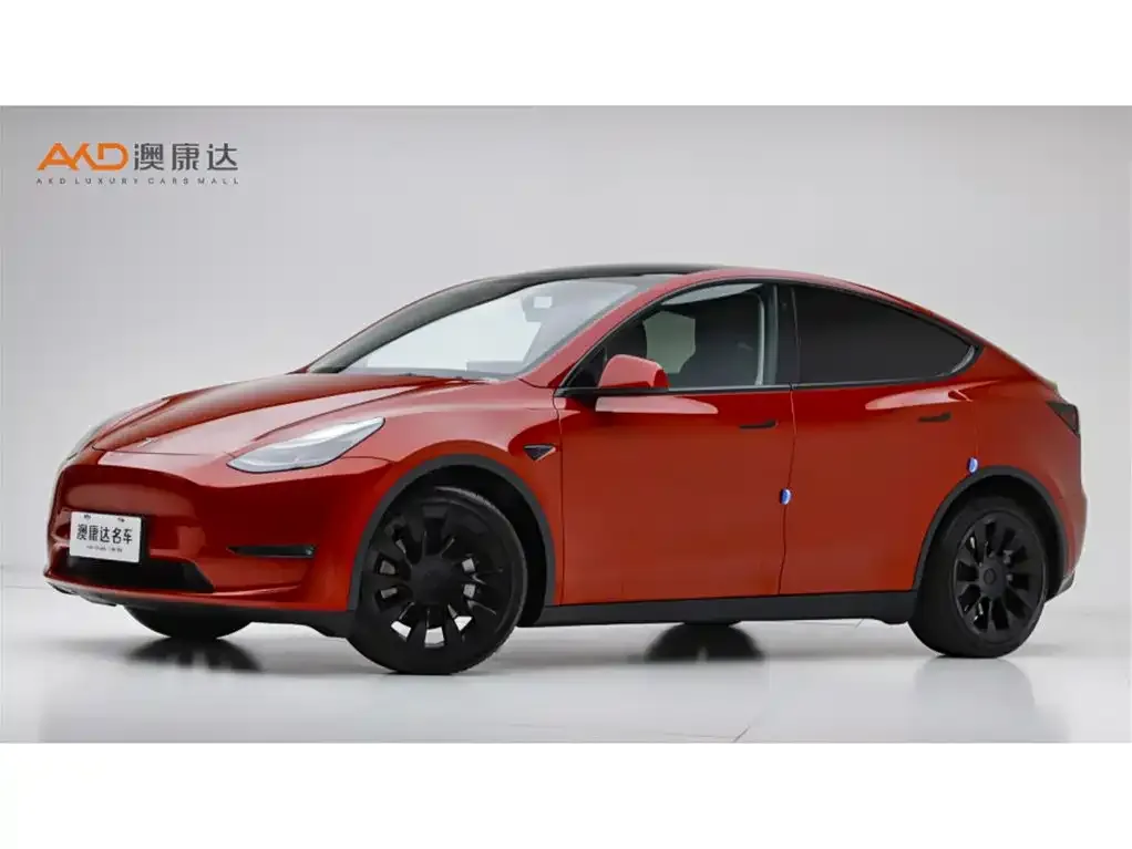Tesla Model Y — фото 1