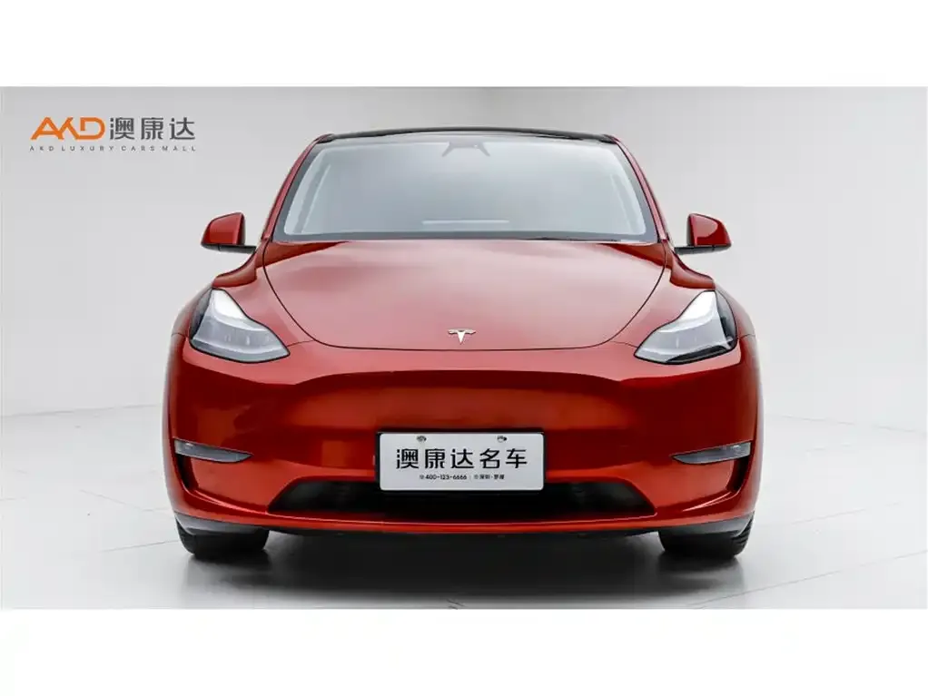 Tesla Model Y — фото 3