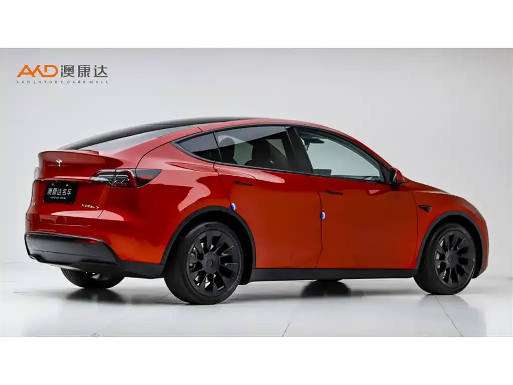 Tesla Model Y — фото 2