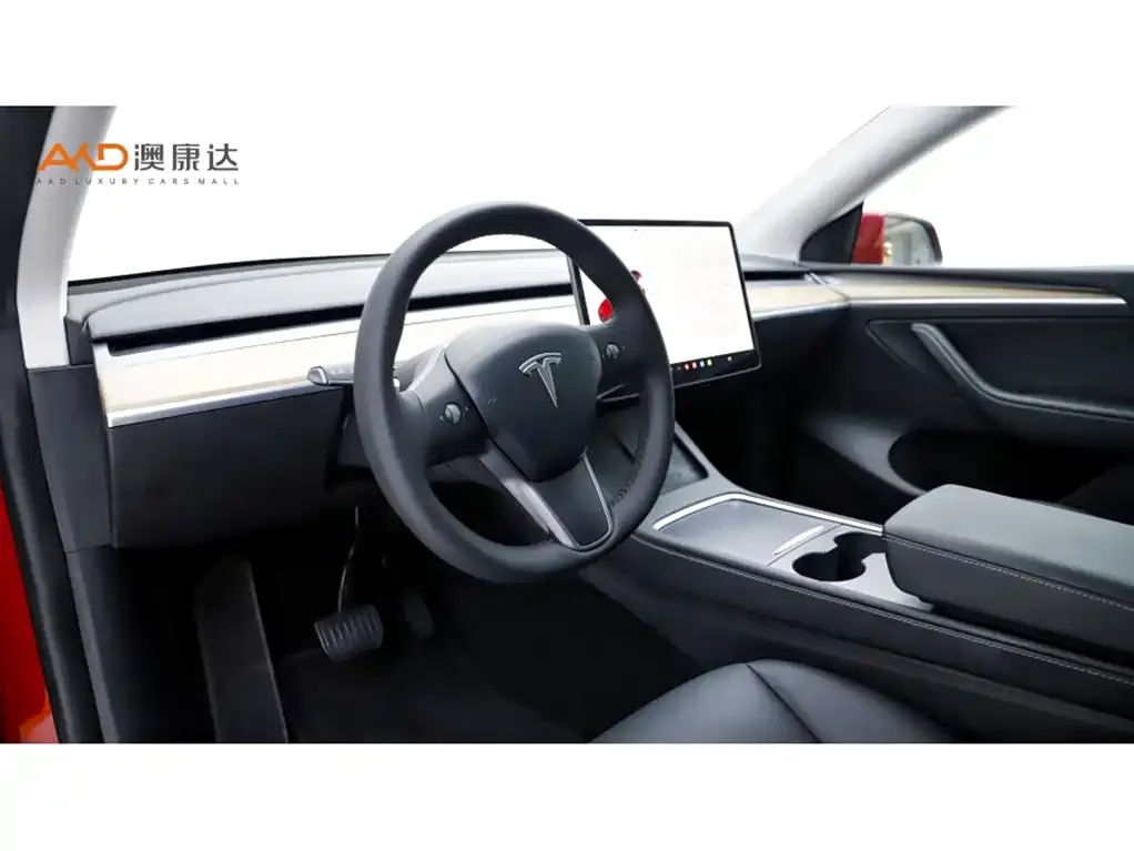 Tesla Model Y — фото 10