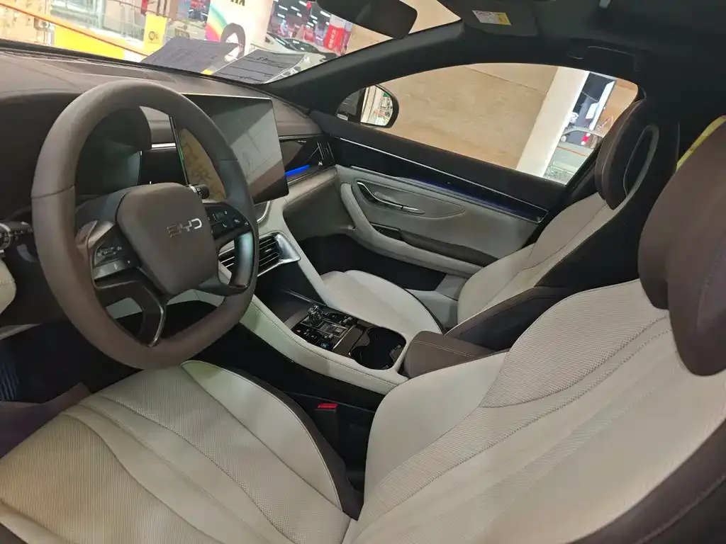 BYD PLUS New Energy — фото 10