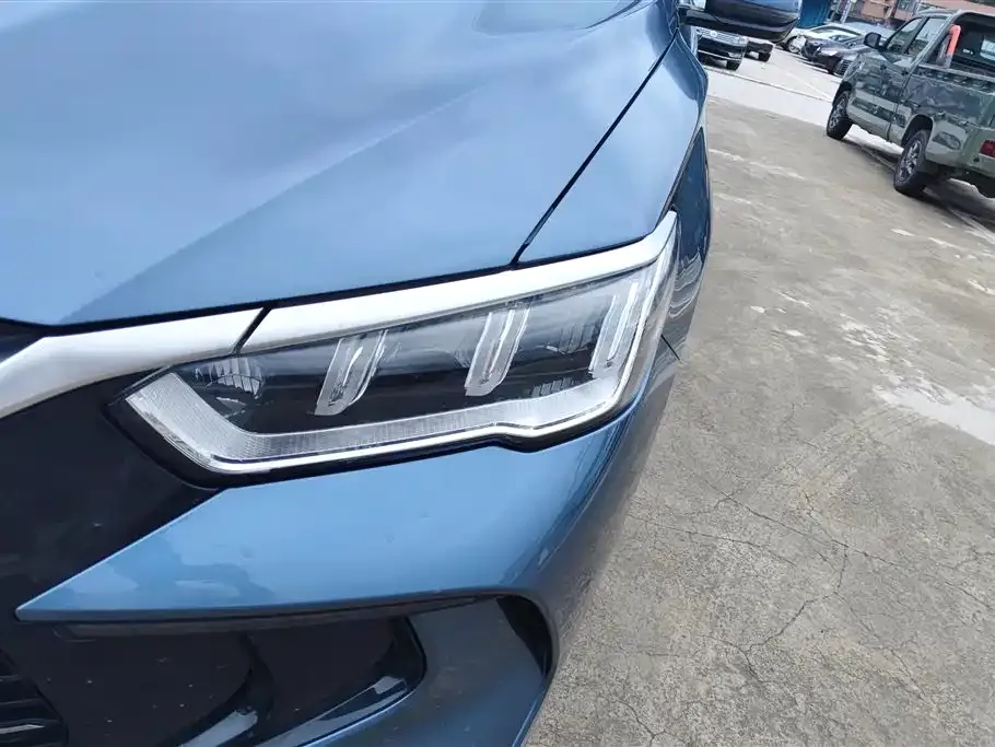 BYD Pro New Energy 2024 из CN, фото 9