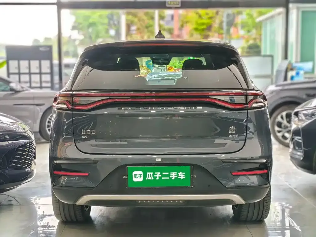 BYD Tang New Energy — фото 9