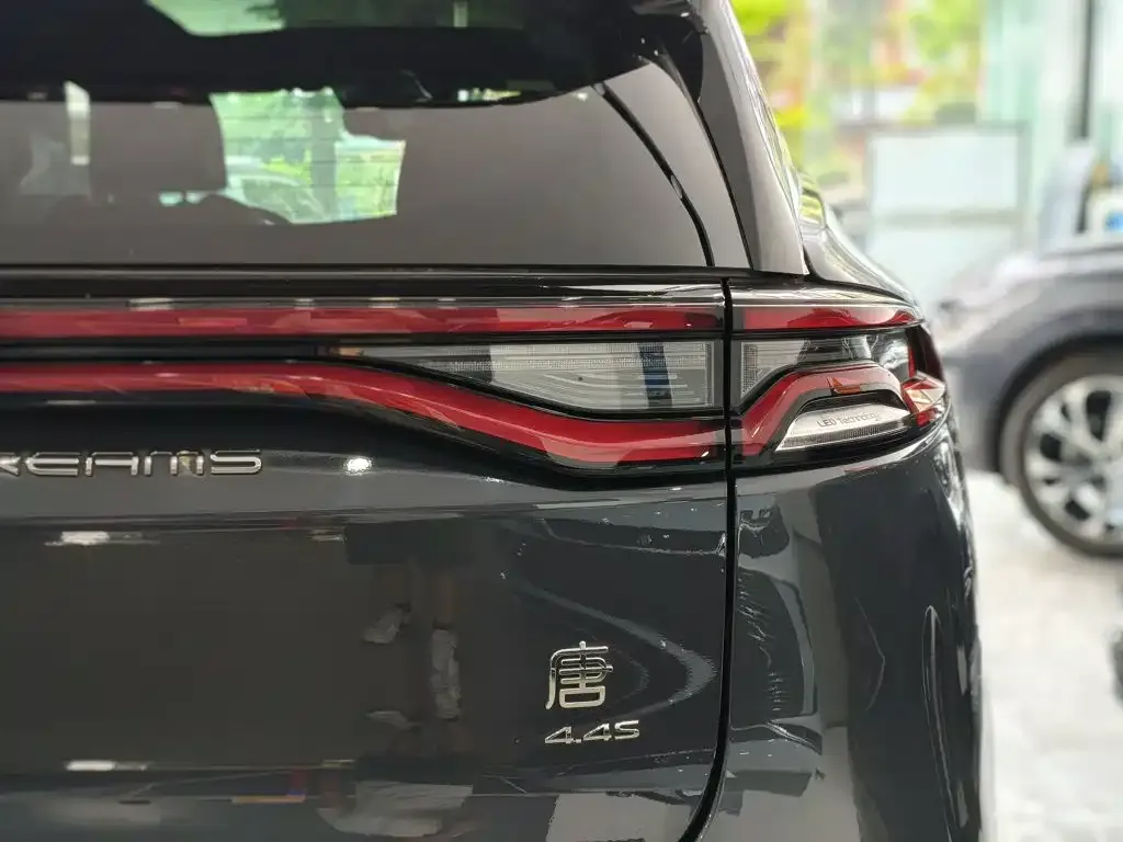 BYD Tang New Energy — фото 10