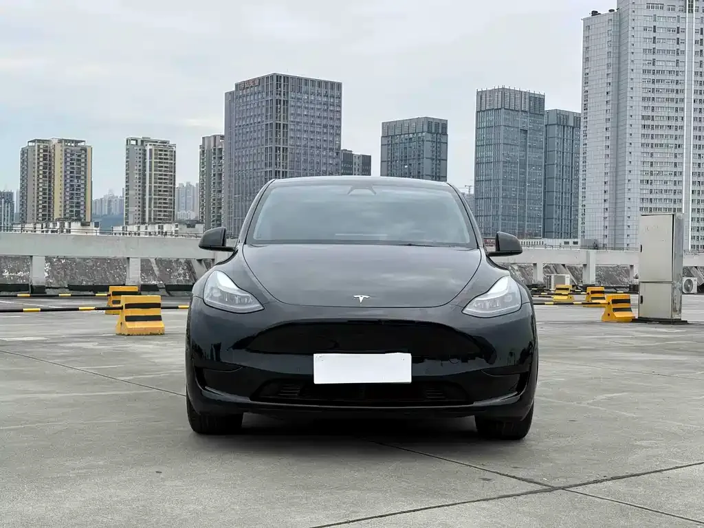 Tesla Model Y — фото 2