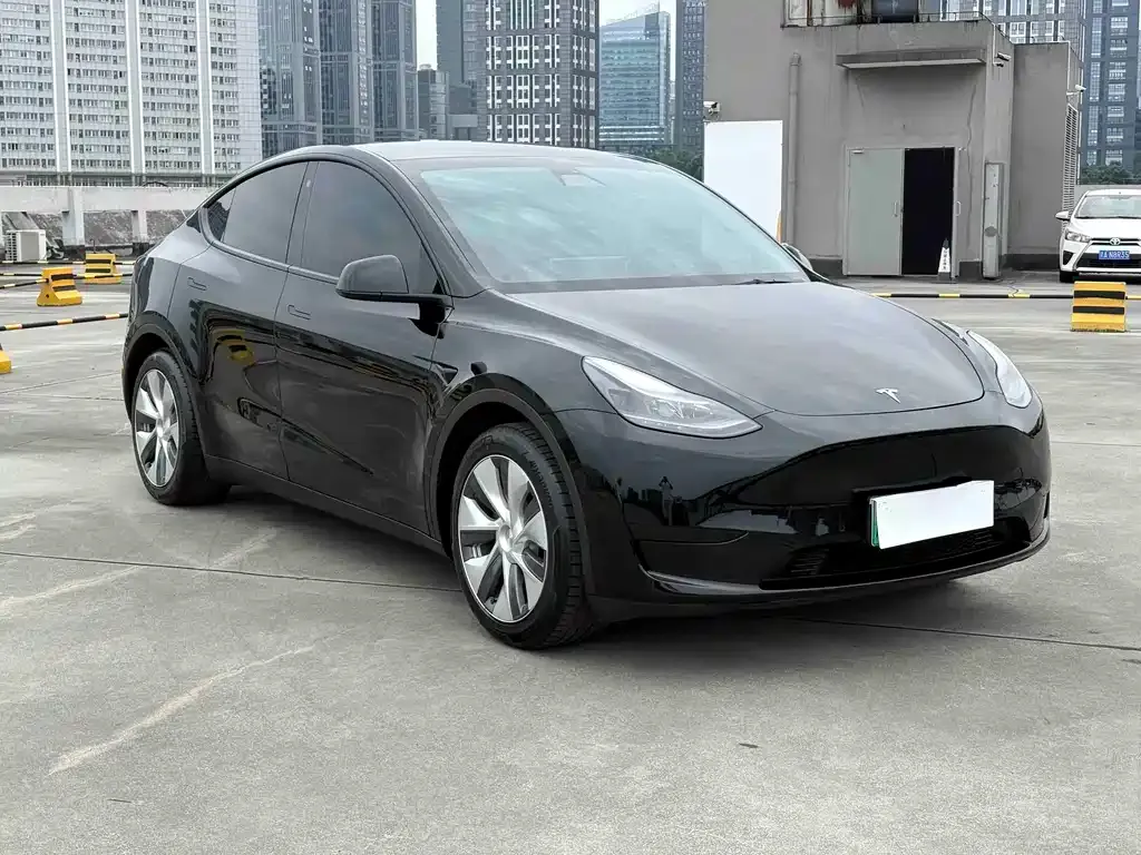 Tesla Model Y — фото 9