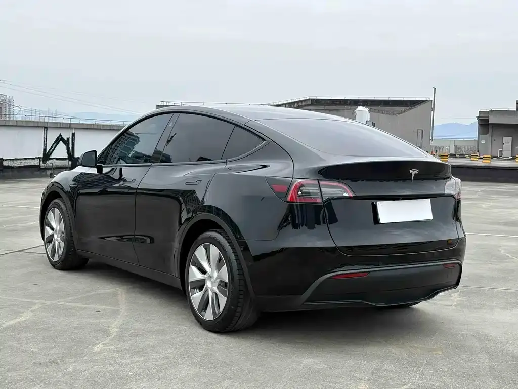 Tesla Model Y — фото 5