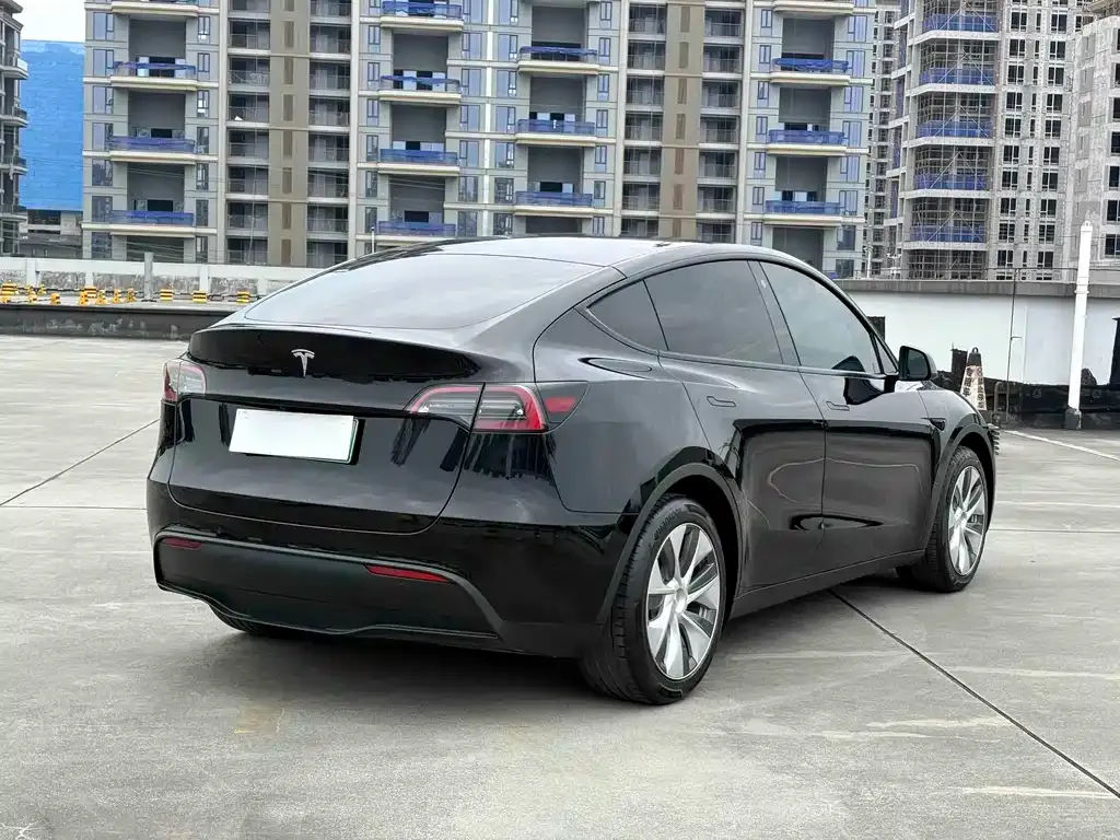 Tesla Model Y — фото 3