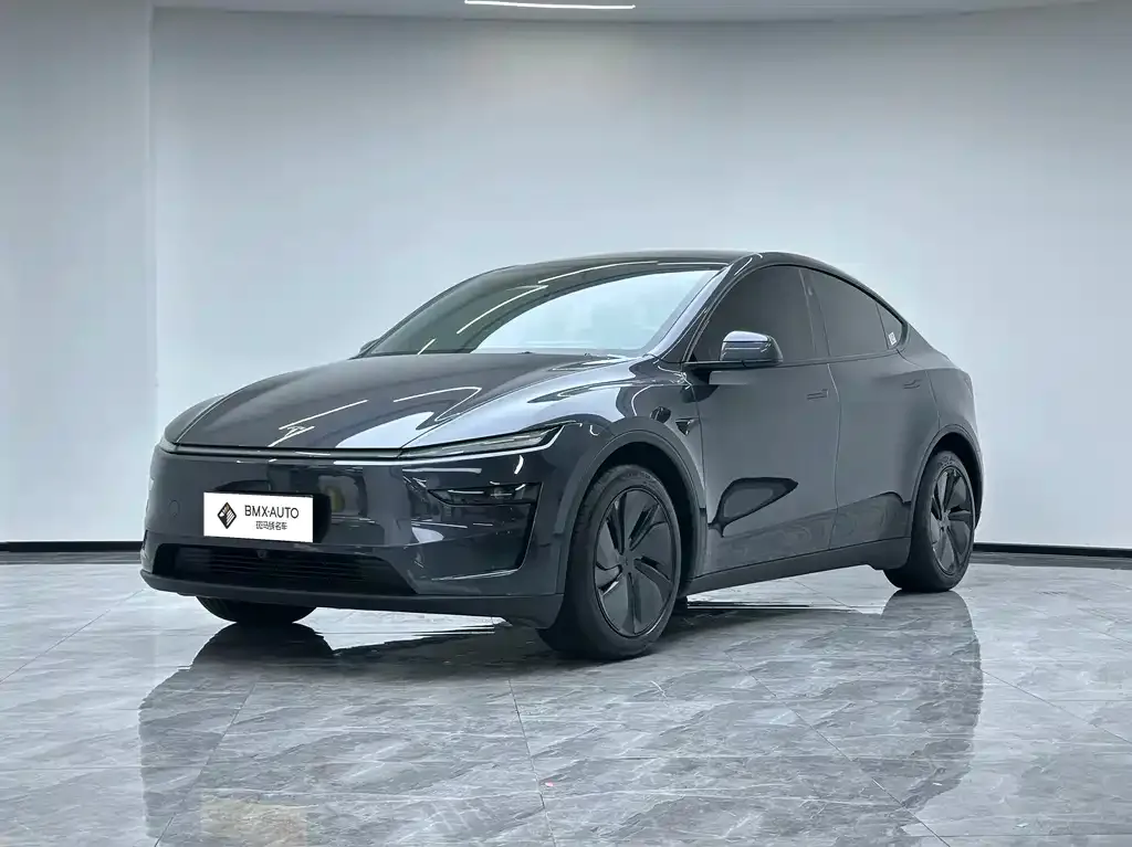 Tesla Model Y — фото 1