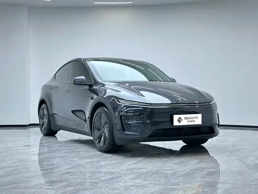 Tesla Model Y — фото 4