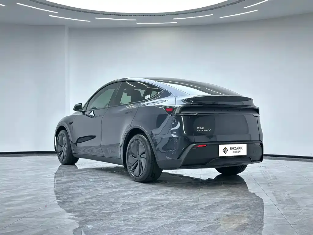 Tesla Model Y — фото 10