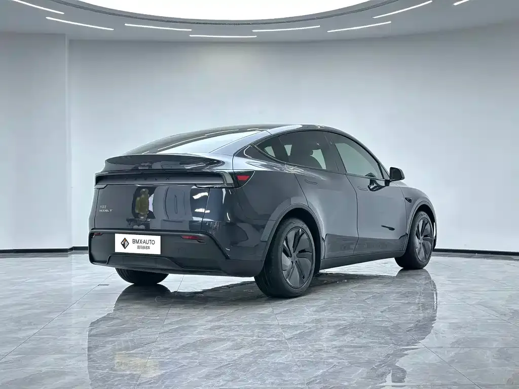 Tesla Model Y — фото 5