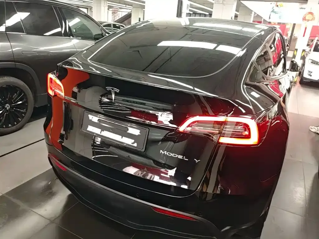 Tesla Model Y — фото 8