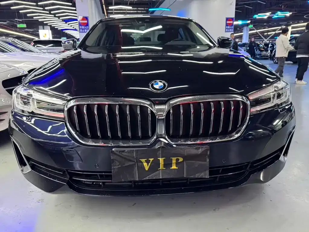 BMW 5 Series 2021 из CN, фото 5