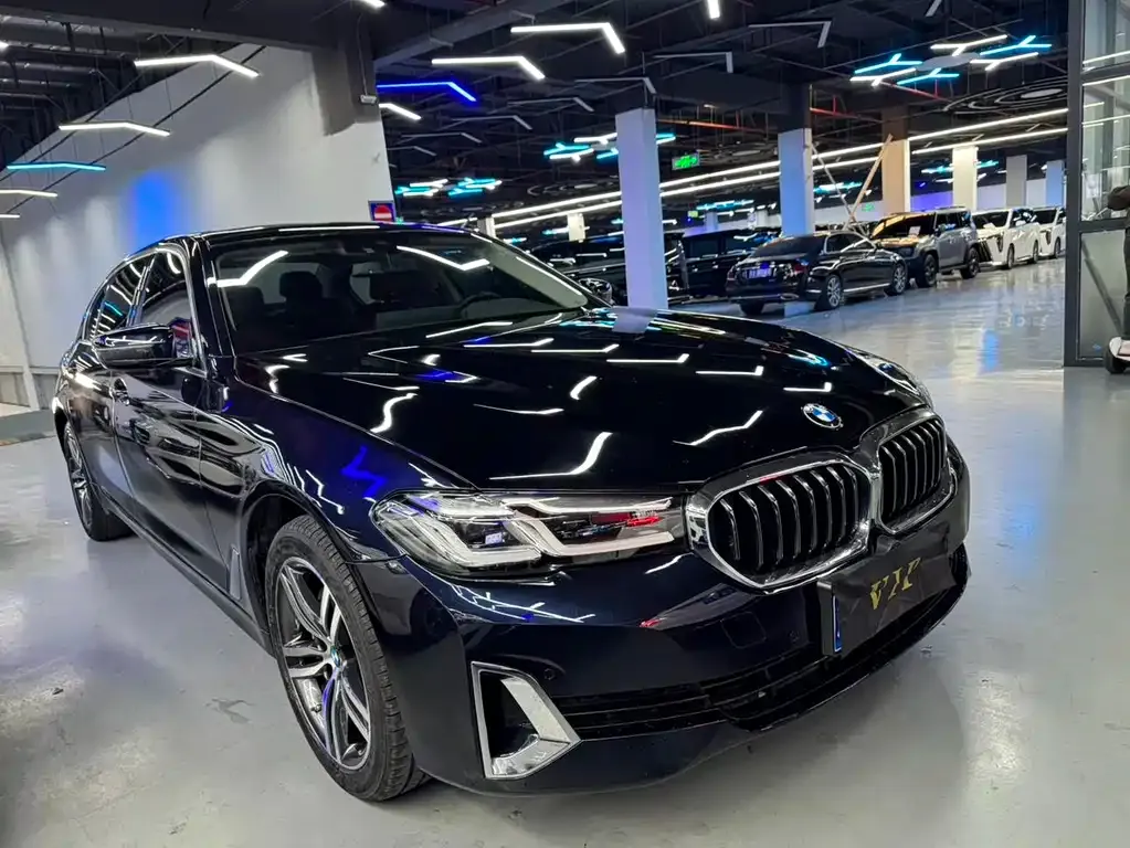 BMW 5 Series 2021 из CN, фото 8