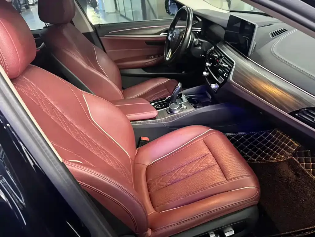 BMW 5 Series 2021 из CN, фото 4