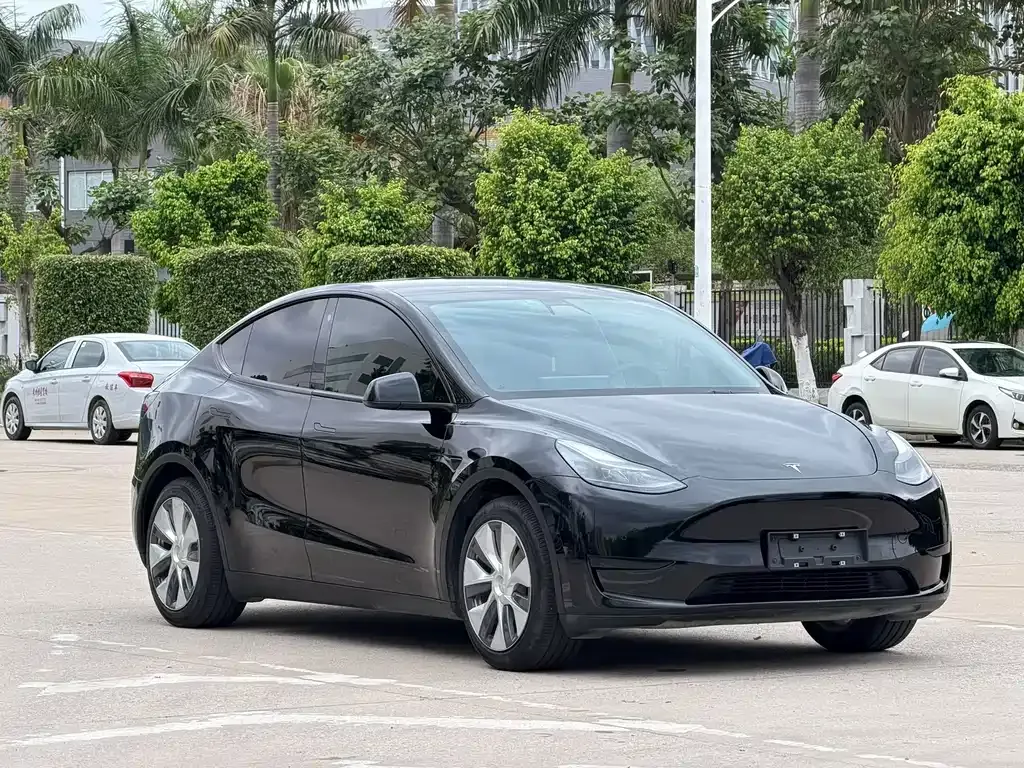 Tesla Model Y — фото 9