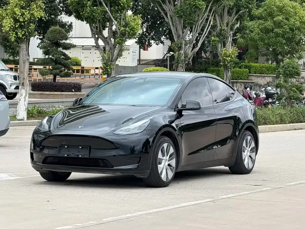 Tesla Model Y — фото 8