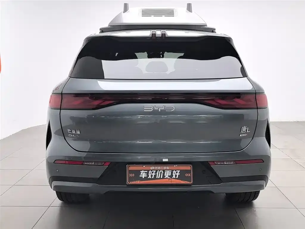 BYD Tang L 2025 из CN, фото 3
