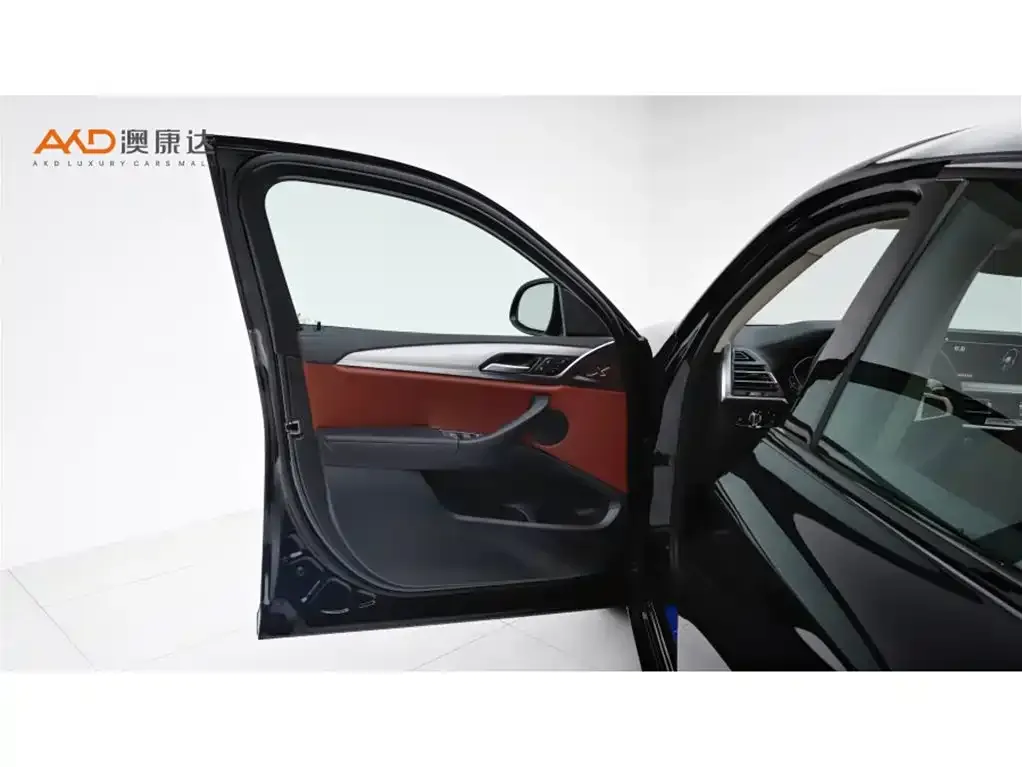 BMW X4 2025 из CN, фото 8