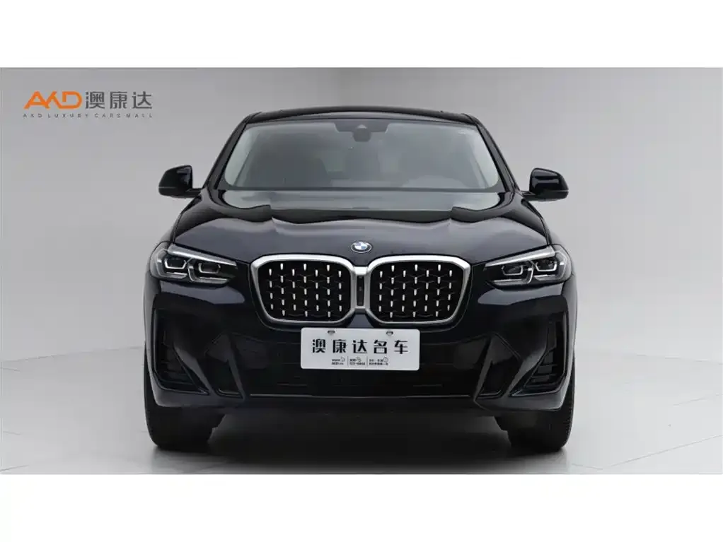 BMW X4 2025 из CN, фото 3