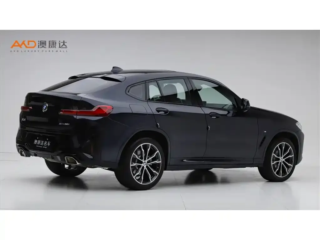 BMW X4 2025 из CN, фото 9