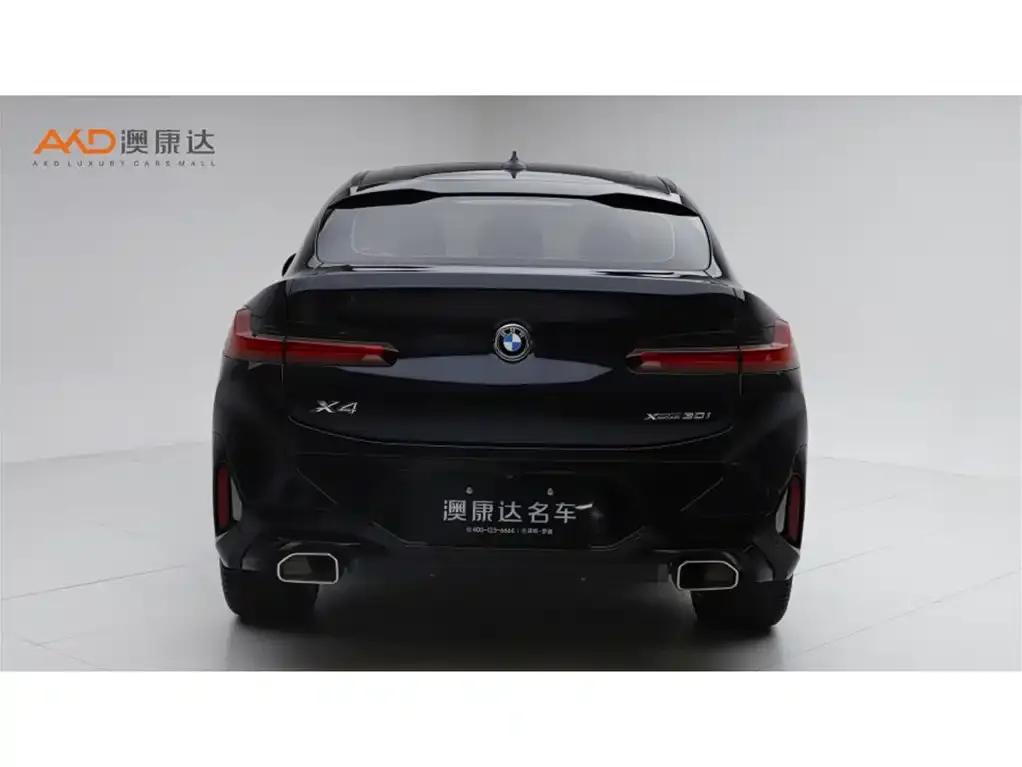 BMW X4 2025 из CN, фото 4