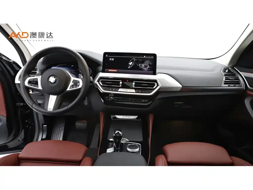 BMW X4 2025 из CN, фото 10