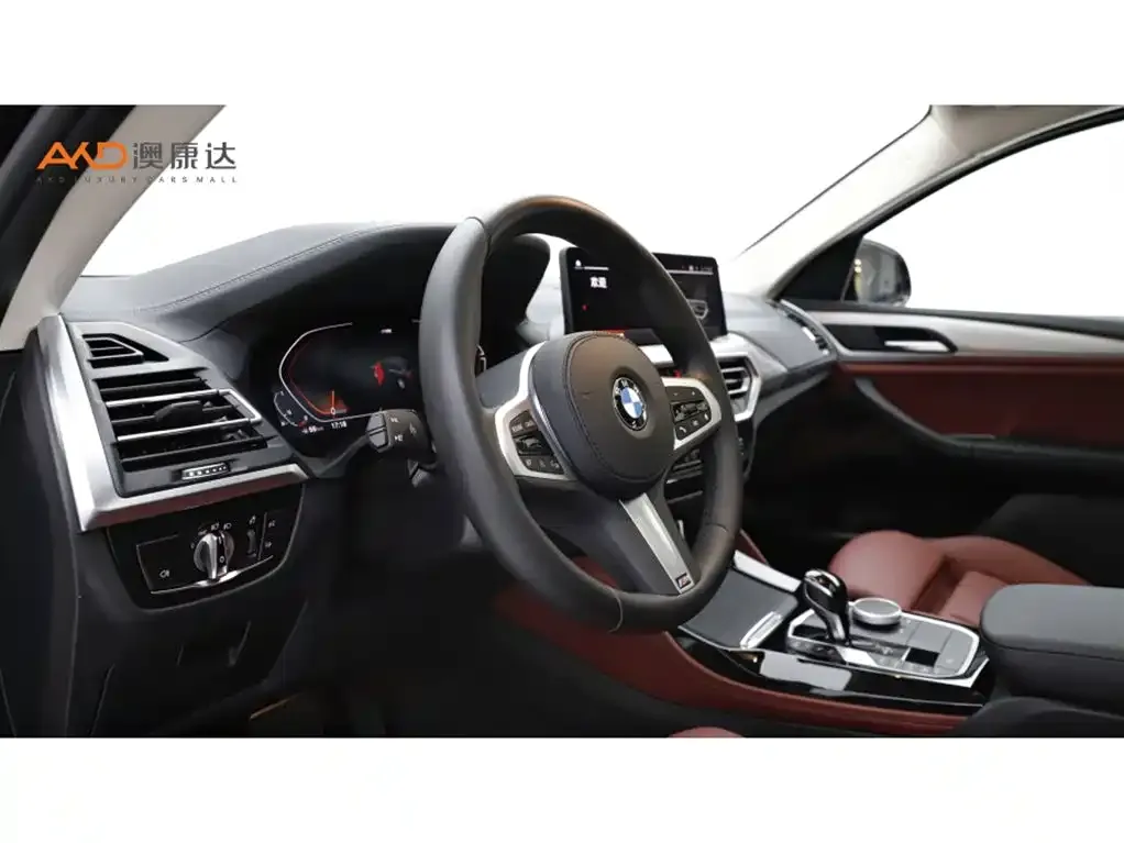 BMW X4 2025 из CN, фото 6