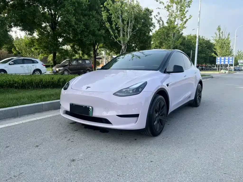 Tesla Model Y — фото 8