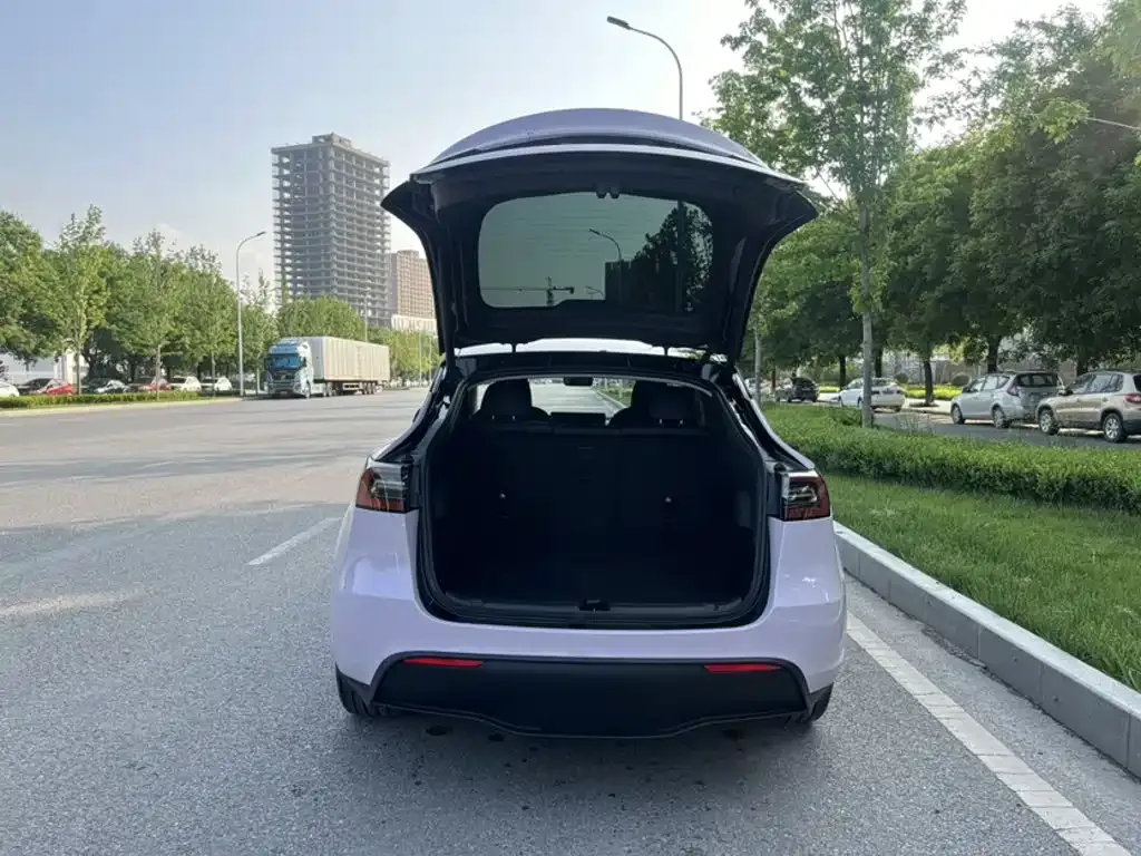 Tesla Model Y — фото 5