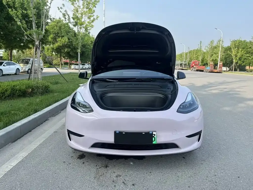 Tesla Model Y — фото 7