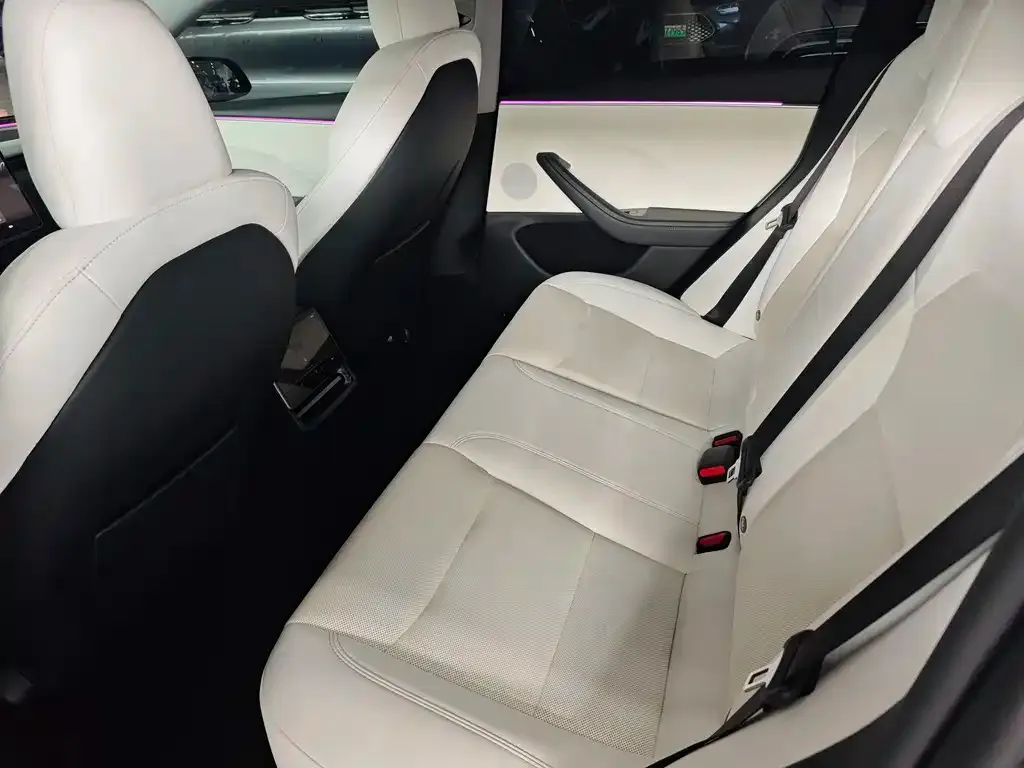 Tesla Model 3 2024 из CN, фото 3