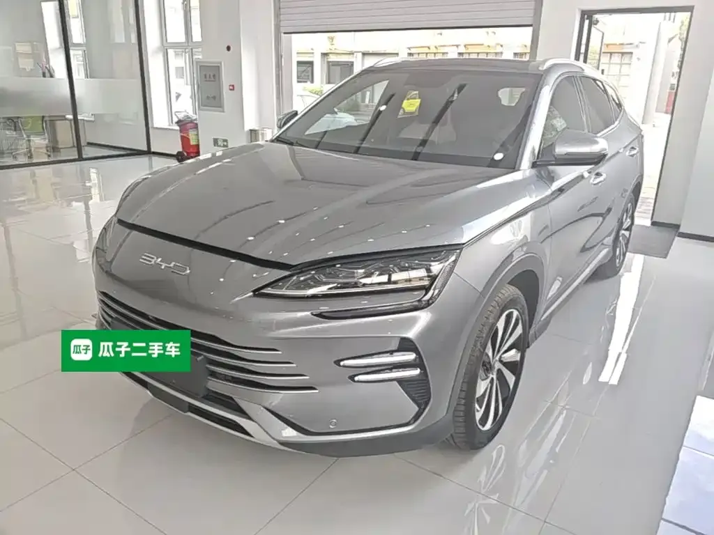 BYD PLUS New Energy — фото 1