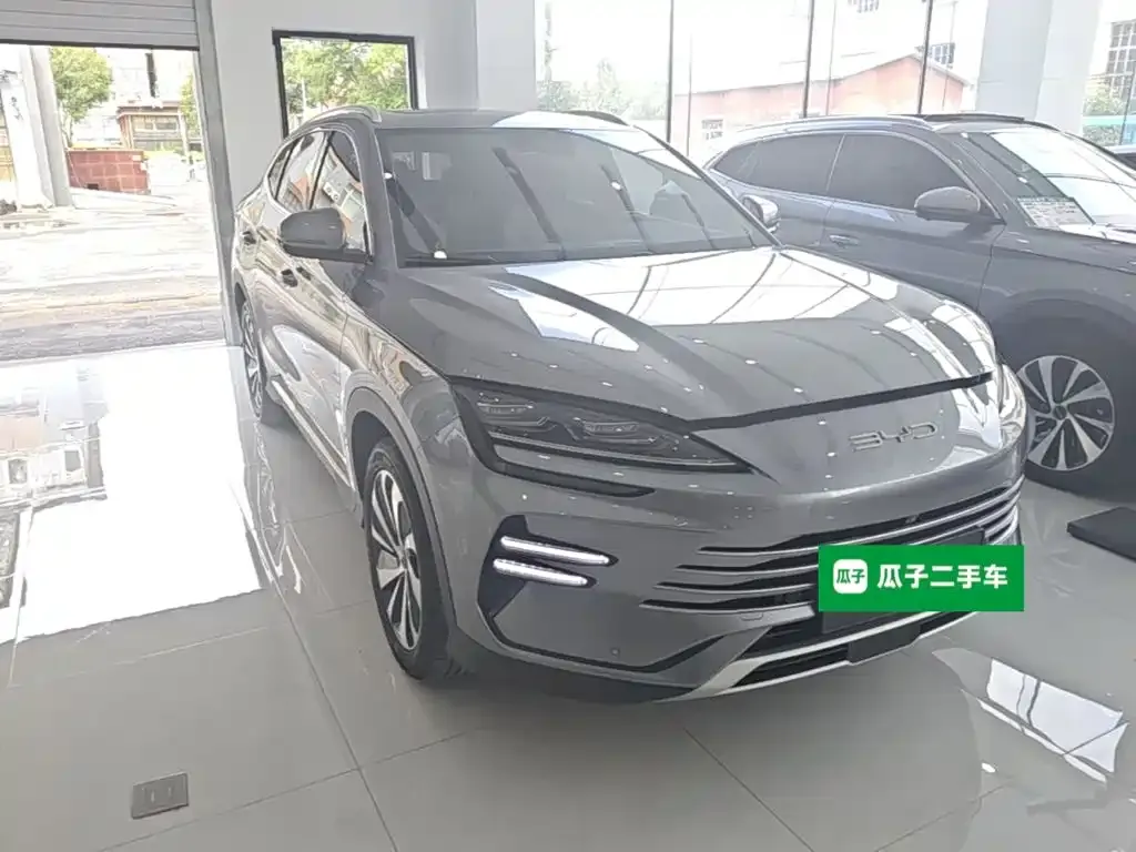 BYD PLUS New Energy — фото 7