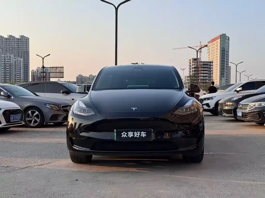 Tesla Model Y — фото 9