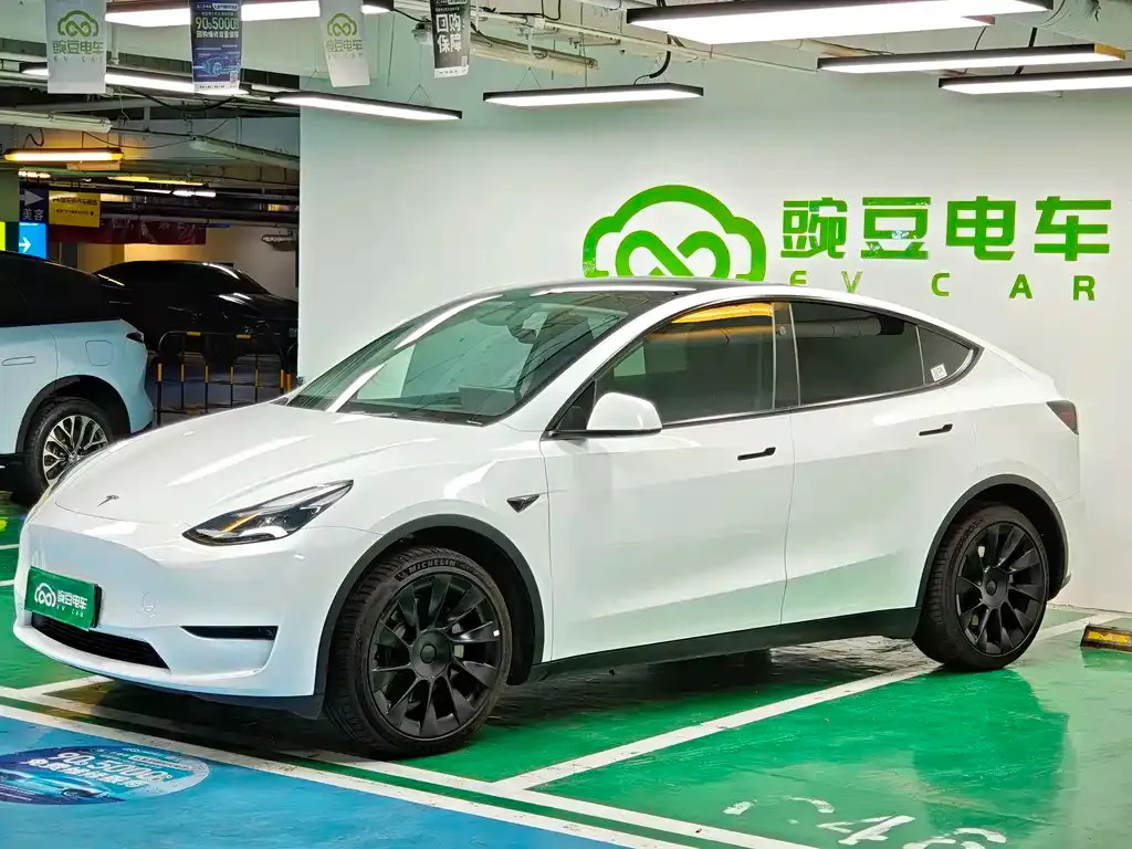 Tesla Model Y — фото 6