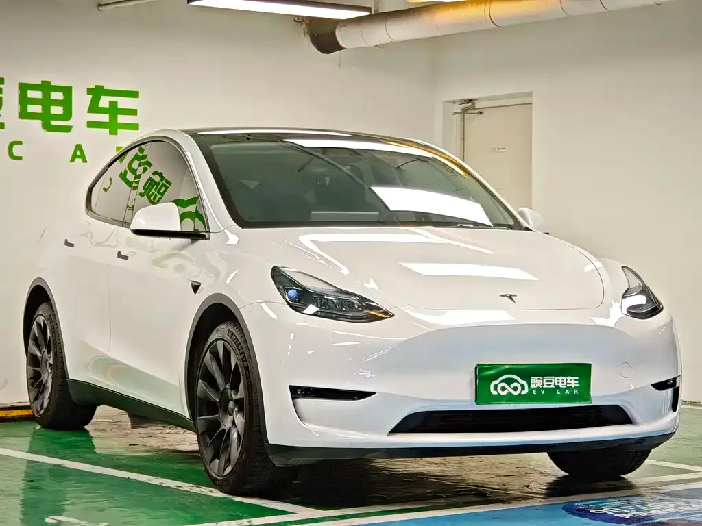 Tesla Model Y — фото 10