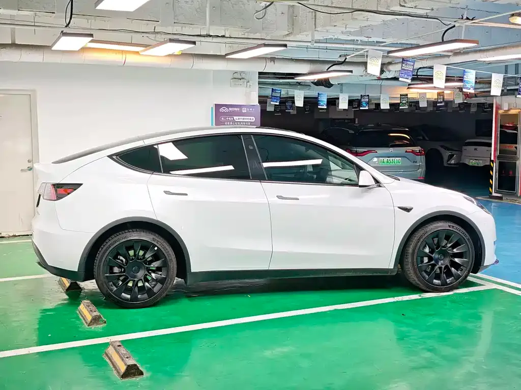 Tesla Model Y — фото 9