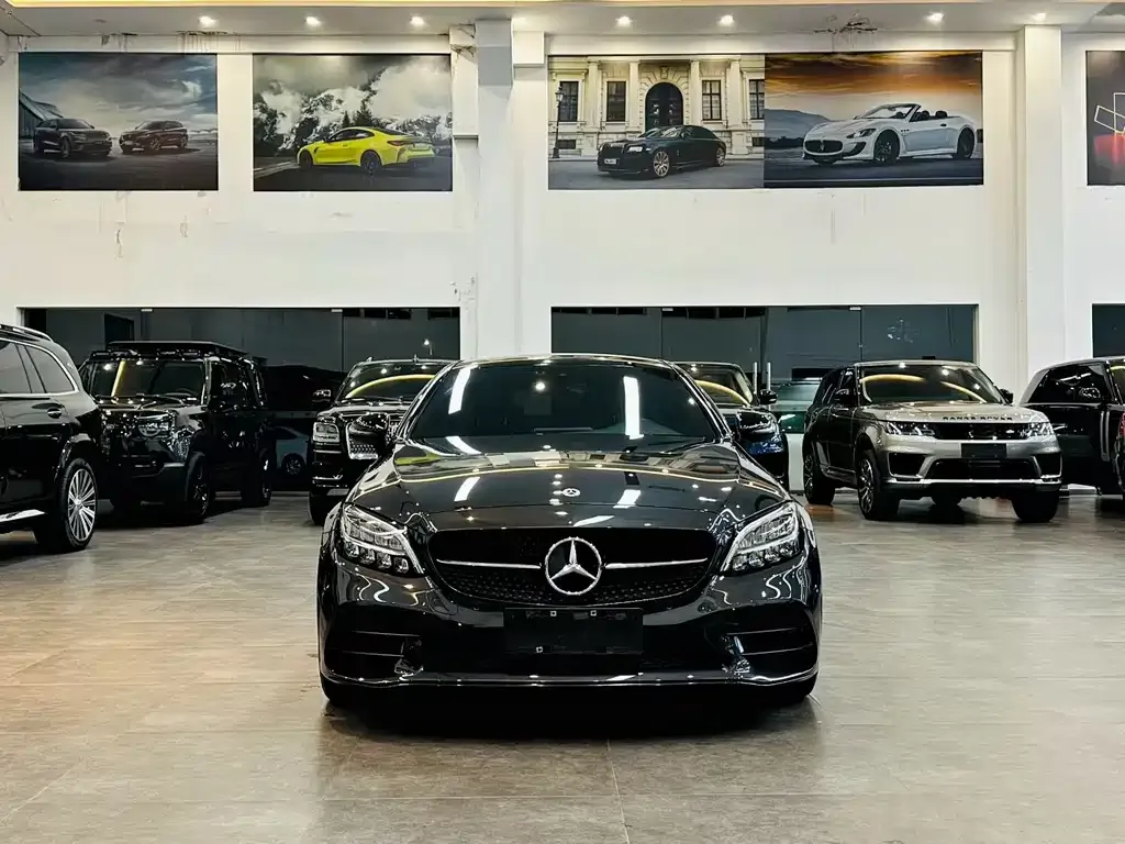 Mercedes-Benz C-Class (Import) — фото 7