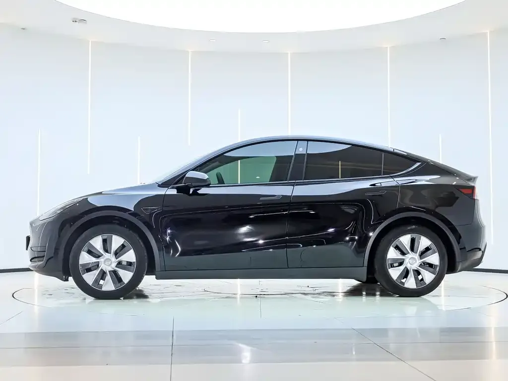 Tesla Model Y — фото 10