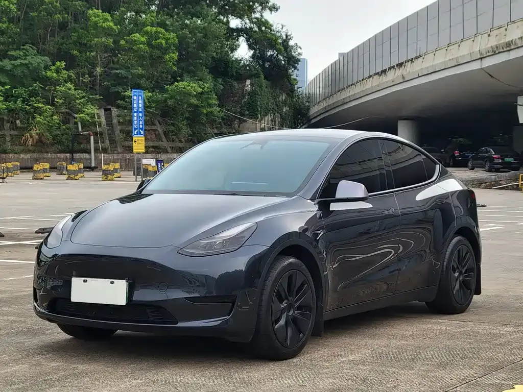 Tesla Model Y — фото 1