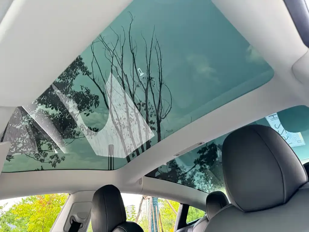 Tesla Model 3 2021 из CN, фото 6